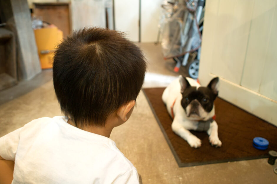 犬を触りたい少年。