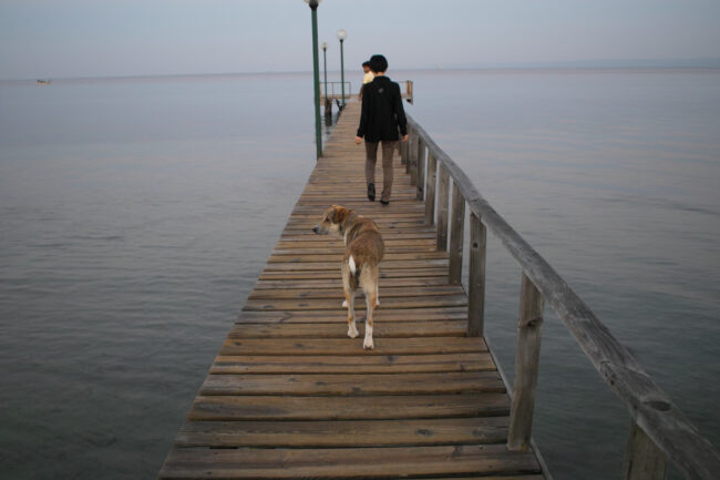 海岸から伸びる桟橋へ。犬もついてきた。